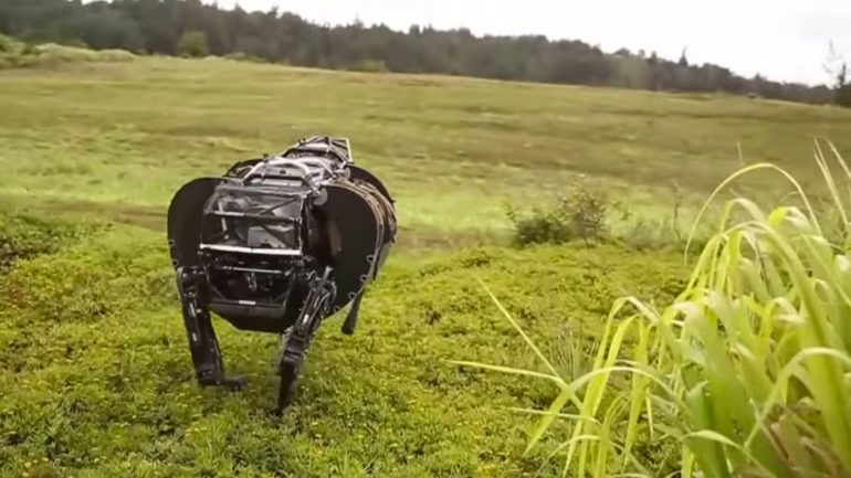 robot-dog.jpg