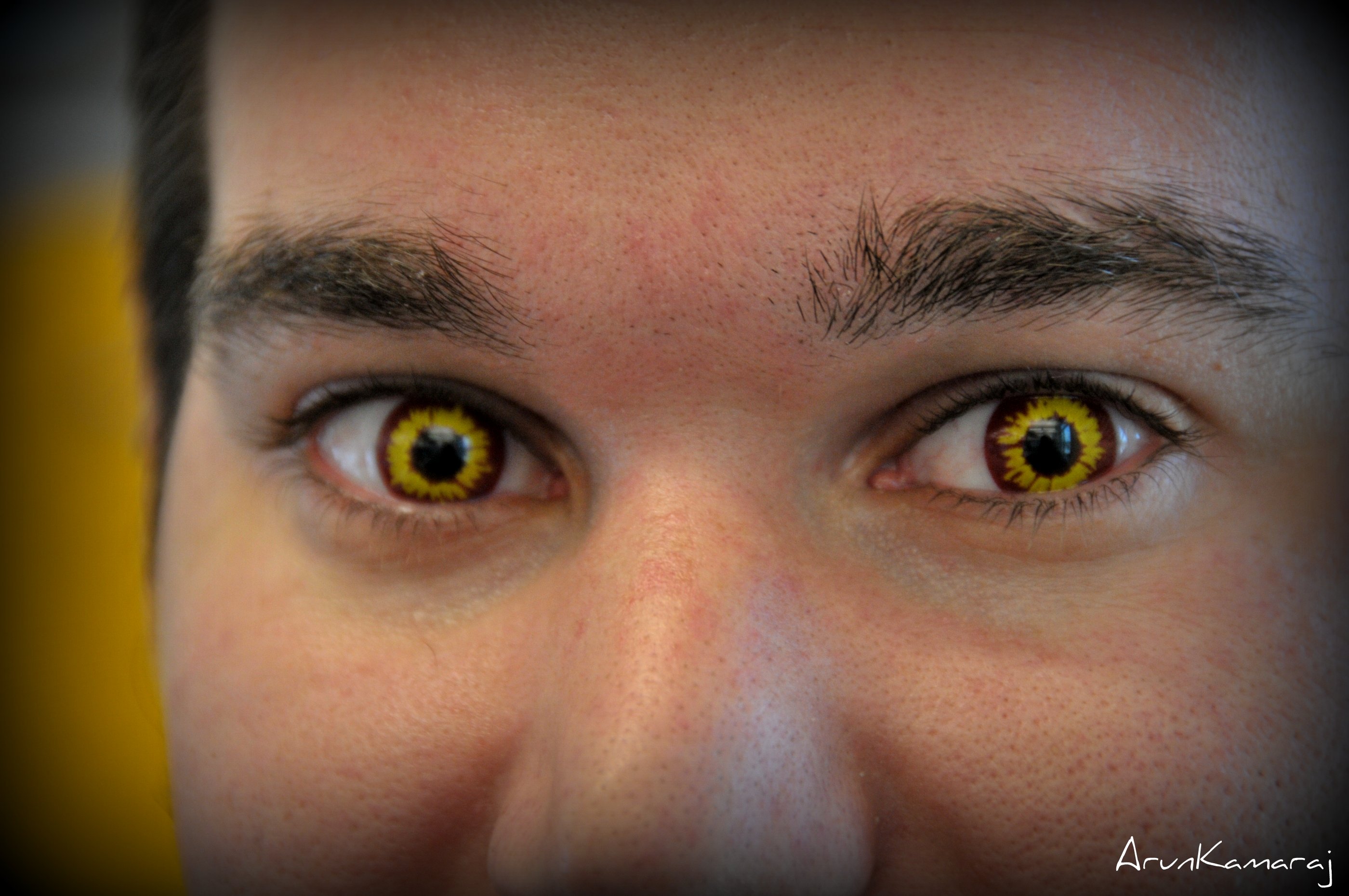 Описание желтых глаз. Цветные линзы гетерохромия. Желтые глаза. Желтые линзы. Янтарные глаза.