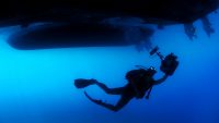 diver-diving-swimming-sea-71276.jpeg