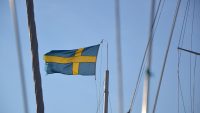 swedish-flag-1127475_1920.jpg
