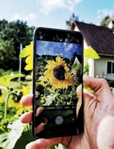 Augurauaga telefoni serva löödud 32-megapiksline esikaamera näitab selget ja teravat pilti. Huawei kaamerarakendus on praktiliselt iPhone'i koopia ning see on üpris positiivne.