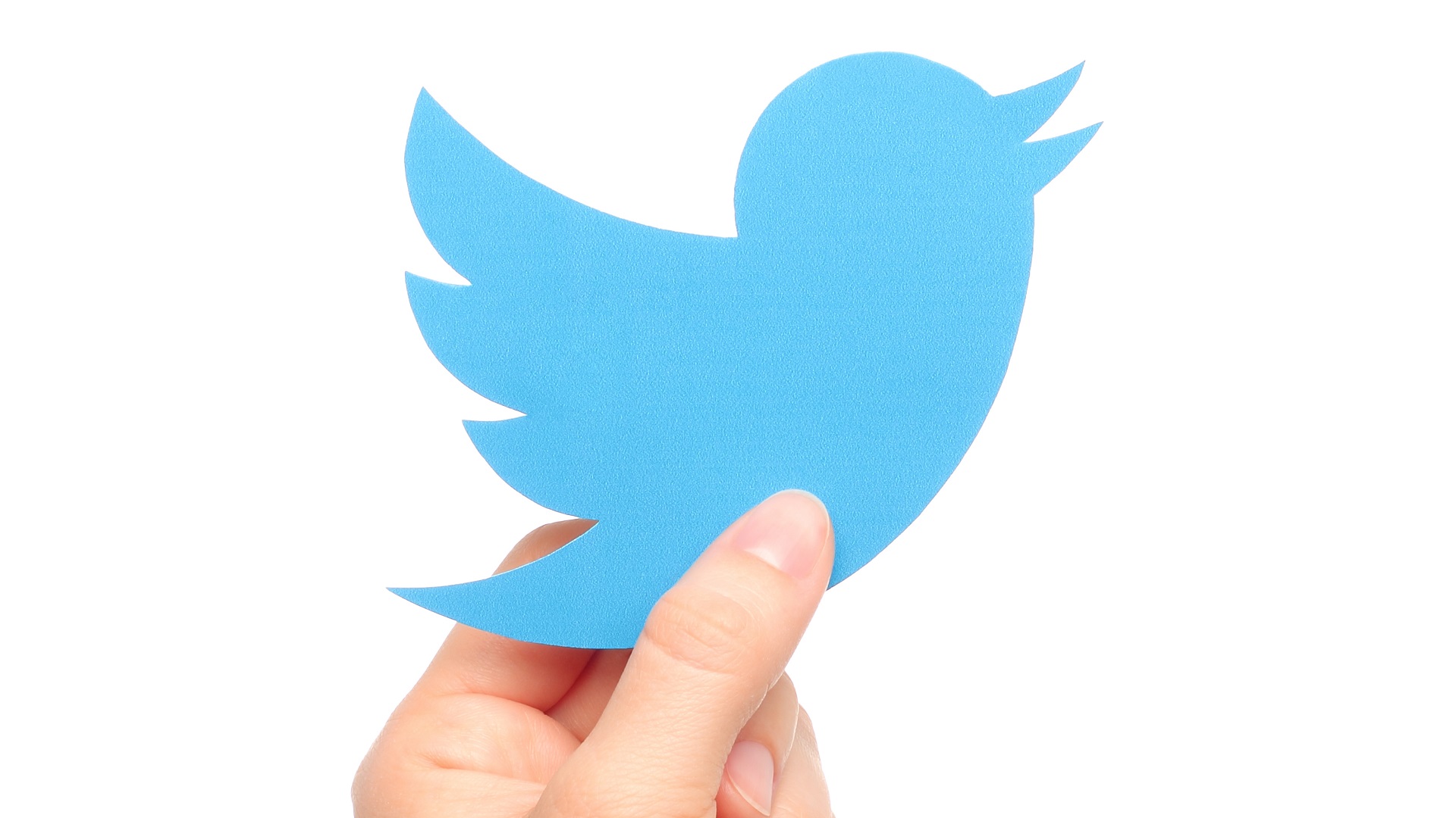 Приложение bird. Приложение с птичкой. Твиттер. Синяя птичка приложение. Голубая птица приложение.